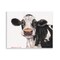 Stupell Industries Cute Cow with White Spots Wall Plaque, design by George Dyachenko